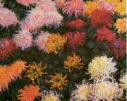 Claude Monet Chrysanthemums  sd oil painting picture wholesale